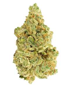 Alternative view of Versus - White Widow (SATIVA)
