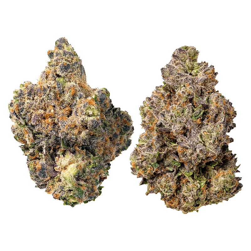 Cookies - Double Stuffed Variety Pack (HYBRID) - Image 2