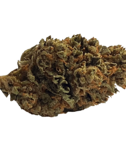 Alternative view of Color Cannabis - Cosmic Lemonade (SATIVA)