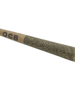 Alternative view of Supernova Farms - Anti Gravity PR 1 x 0.5 g (INDICA)