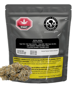 Jolly Boys - Royal Sherb (INDICA)