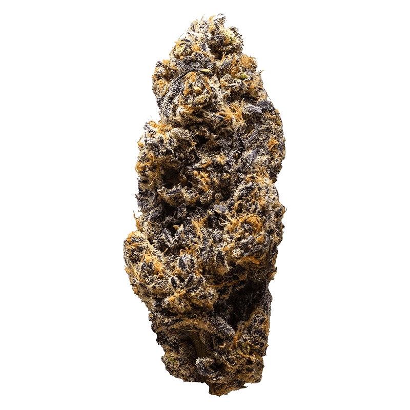 3rd Coast Genetics - Frozen Cola (INDICA) - Image 2