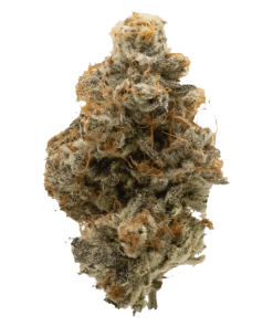 Alternative view of Northern Canna - Atomic Marker (INDICA)