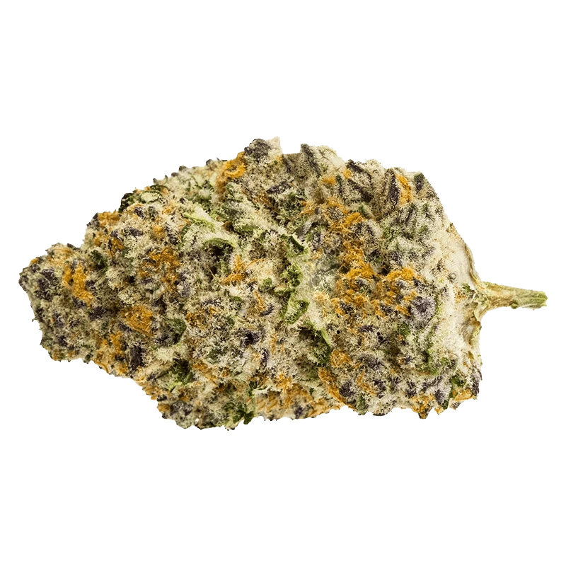 Pure Sunfarms - Gorilla Milk (SATIVA) - Image 2