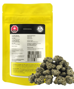 BC Oz - Hawaiian Melon (HYBRID)