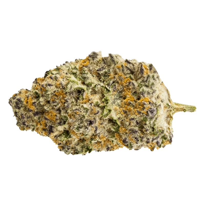 Pure Sunfarms - Gorilla Milk (SATIVA) - Image 5