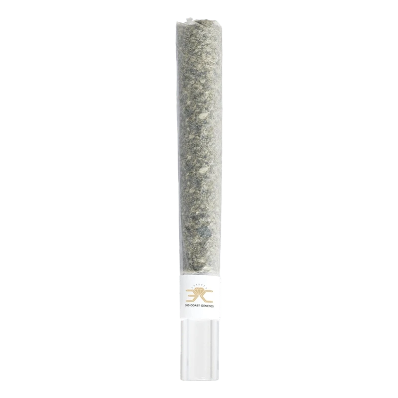 3rd Coast Genetics - Black Truffle Glass Tip PR 1 x 1 g (INDICA) - Image 2