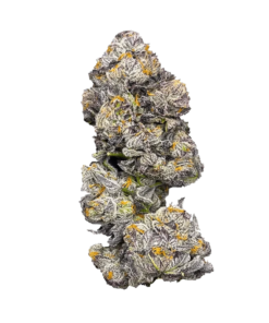 Alternative view of Castle Rock Farms - GastroPop (INDICA)