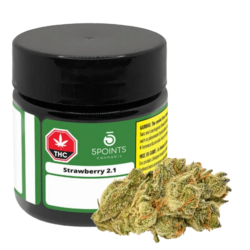5 Points Cannabis - Strawberry 2.1 (SATIVA)