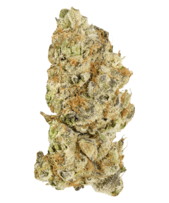 Alternative view of Broken Coast - Platinum Pave (INDICA)