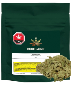 Pure Laine - Big Pleasures (SATIVA)