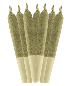 Alternative view of Sheeesh - Key Lime Pie PR 7 x 0.5 g (INDICA)