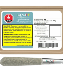 1Spliff - Quantum Kush Premium Glass Tip PR 5 x 0.6 g (SATIVA)