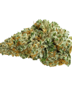 Alternative view of Pure Sunfarms - Queen Green (HYBRID)