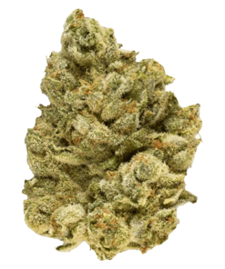 Alternative view of Broken Coast - EmergenZ (SATIVA)