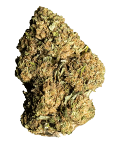 Alternative view of Snicklefritz - GG4 x Alien Technology (INDICA)