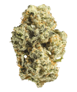 Alternative view of Snicklefritz - Sour Amnesia (SATIVA)