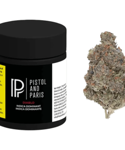 Pistol and Paris - Diablo (INDICA)