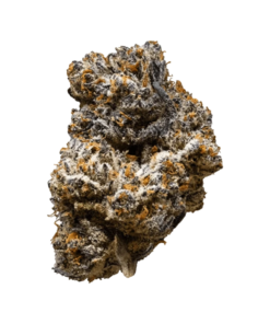 Alternative view of 3rd Coast Genetics - Jack Truffle (SATIVA)