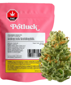 Potluck - Strawberry Cough (SATIVA)