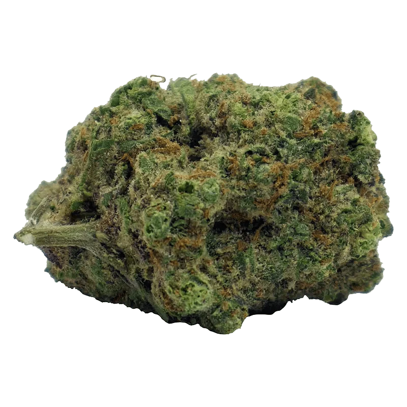 Tweed - Blood Orange Kush (HYBRID) - Image 2