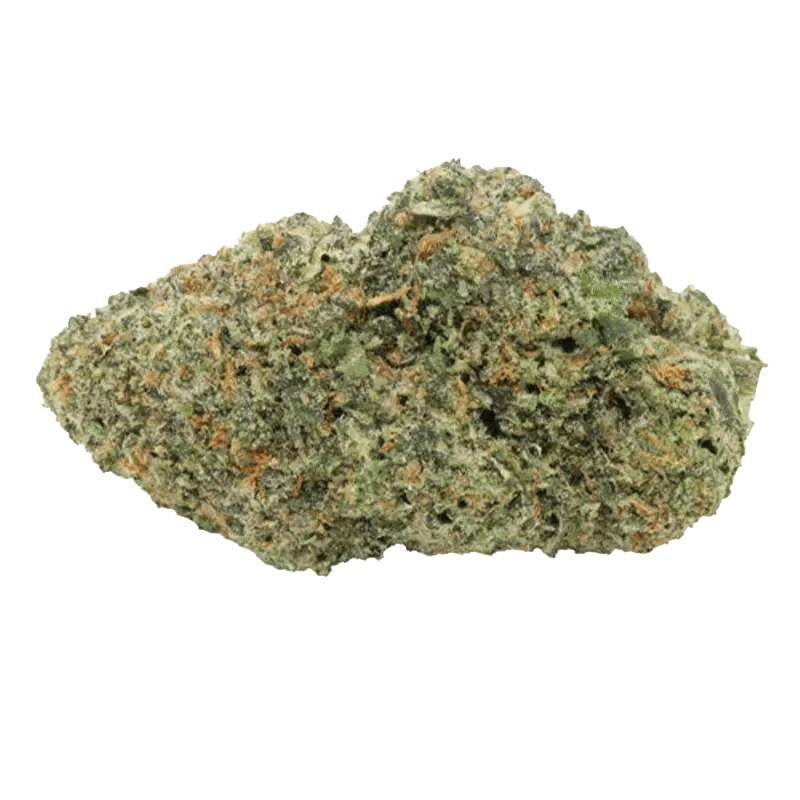 Carmel - Permanently Jealous (INDICA) - Image 2