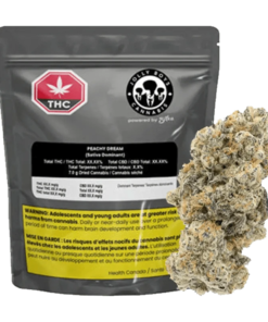 Jolly Boys - Peachy Dream (SATIVA)