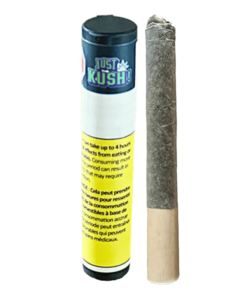 Just Kush - Heaviez GCG PR 1 x 2 g (INDICA)