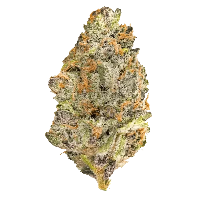 Irie Craft - Platinum Series (HYBRID) - Image 2