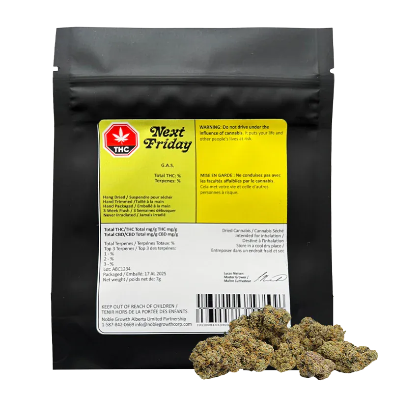 Next Friday - G.A.S (INDICA)