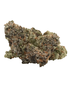 Alternative view of Pistol and Paris - Pink Goo Smalls (INDICA)