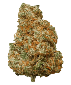 Alternative view of Potluck - Mango Dream (SATIVA)