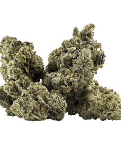 Alternative view of DEALR - Galactica OG (INDICA)