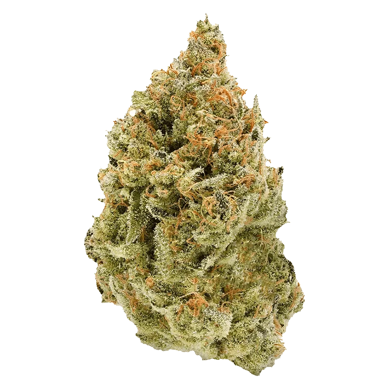 Simply Bare - BC Organic Fruit Loopz (SATIVA) - Image 2