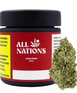 All Nations - Lemon Gelato (SATIVA)