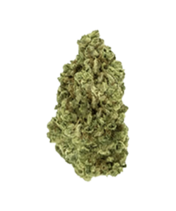 Alternative view of All Nations - Lemon Gelato (SATIVA)