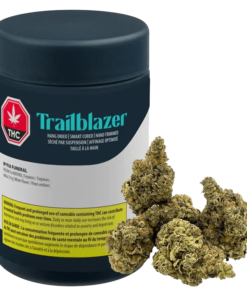 Trailblazer - M*fia Funeral (INDICA)