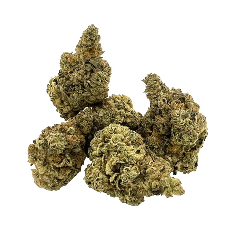 Trailblazer - M*fia Funeral (INDICA) - Image 2