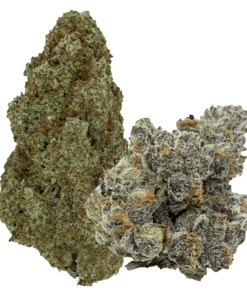 Alternative view of Pistol and Paris - Flavours (SATIVA)