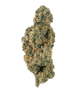 Alternative view of The Florist - Deep Fried Cookie Dough (INDICA)