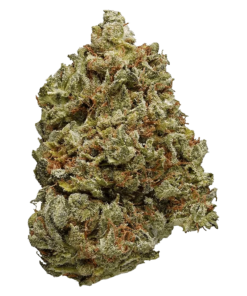 Alternative view of Simply Bare - BC Organic Lemon Loopz (INDICA)