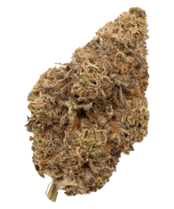 Alternative view of FIGR - Chatty Kathy (SATIVA)