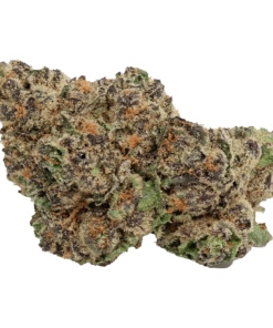 Alternative view of Tuck Shop - Hawaiian Marker (INDICA)