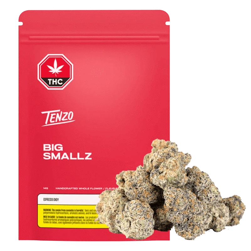 Tenzo - Big Smallz Espresso Cndy (HYBRID)