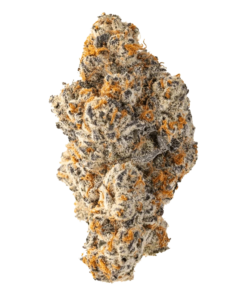 Alternative view of blkmkt - Red Velvet #11 (INDICA)