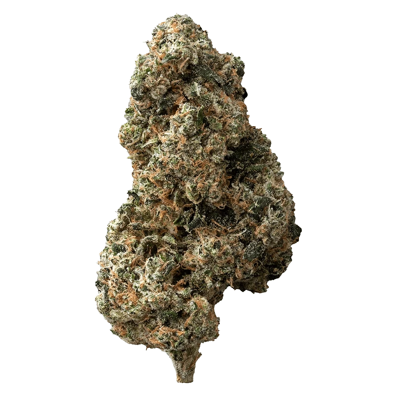 The Loud Plug - Sticky Bunz (INDICA) - Image 2