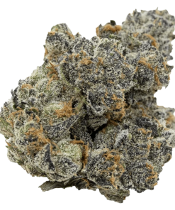 Alternative view of Pistol and Paris - Pink Death (INDICA)