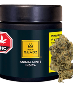 High Quadz - Animal Mints (INDICA)