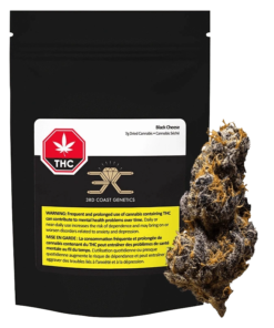 3rd Coast Genetics - Black Cheese (HYBRID)