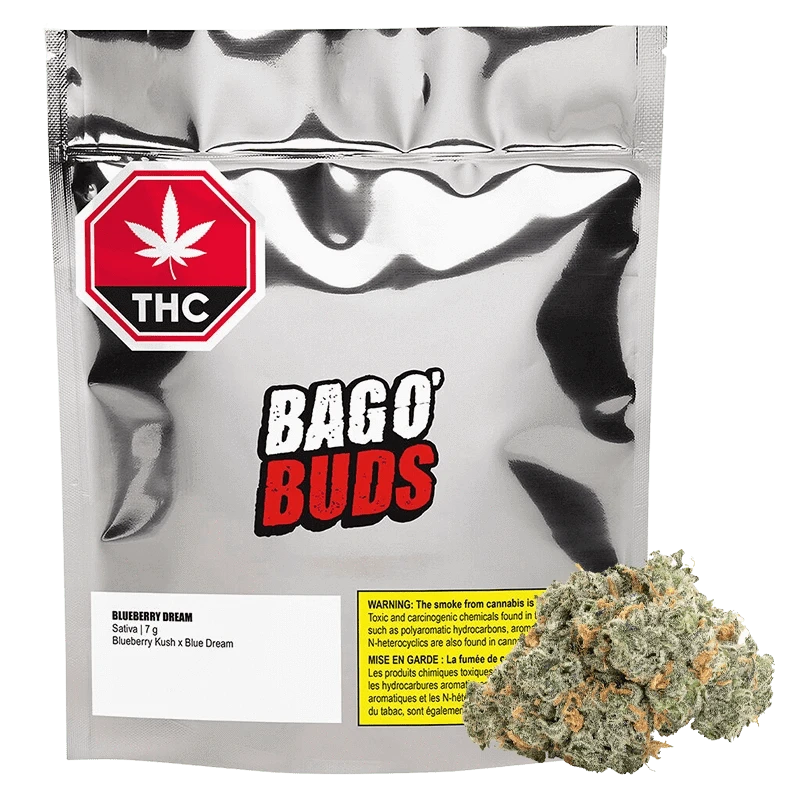Big Bag O' Buds - Blueberry Dream (SATIVA)